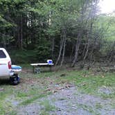 Review photo of Mount St. Helens Dispersed Camping by Chris , June 20, 2021