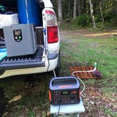 Review photo of Mount St. Helens Dispersed Camping by Chris , June 20, 2021