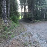 Review photo of Mount St. Helens Dispersed Camping by Chris , June 20, 2021