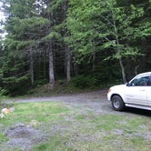 Review photo of Mount St. Helens Dispersed Camping by Chris , June 20, 2021
