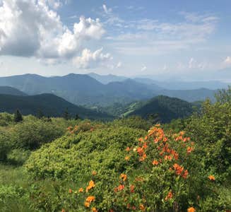 Camper-submitted photo from Julian Price Park Campground — Blue Ridge Parkway