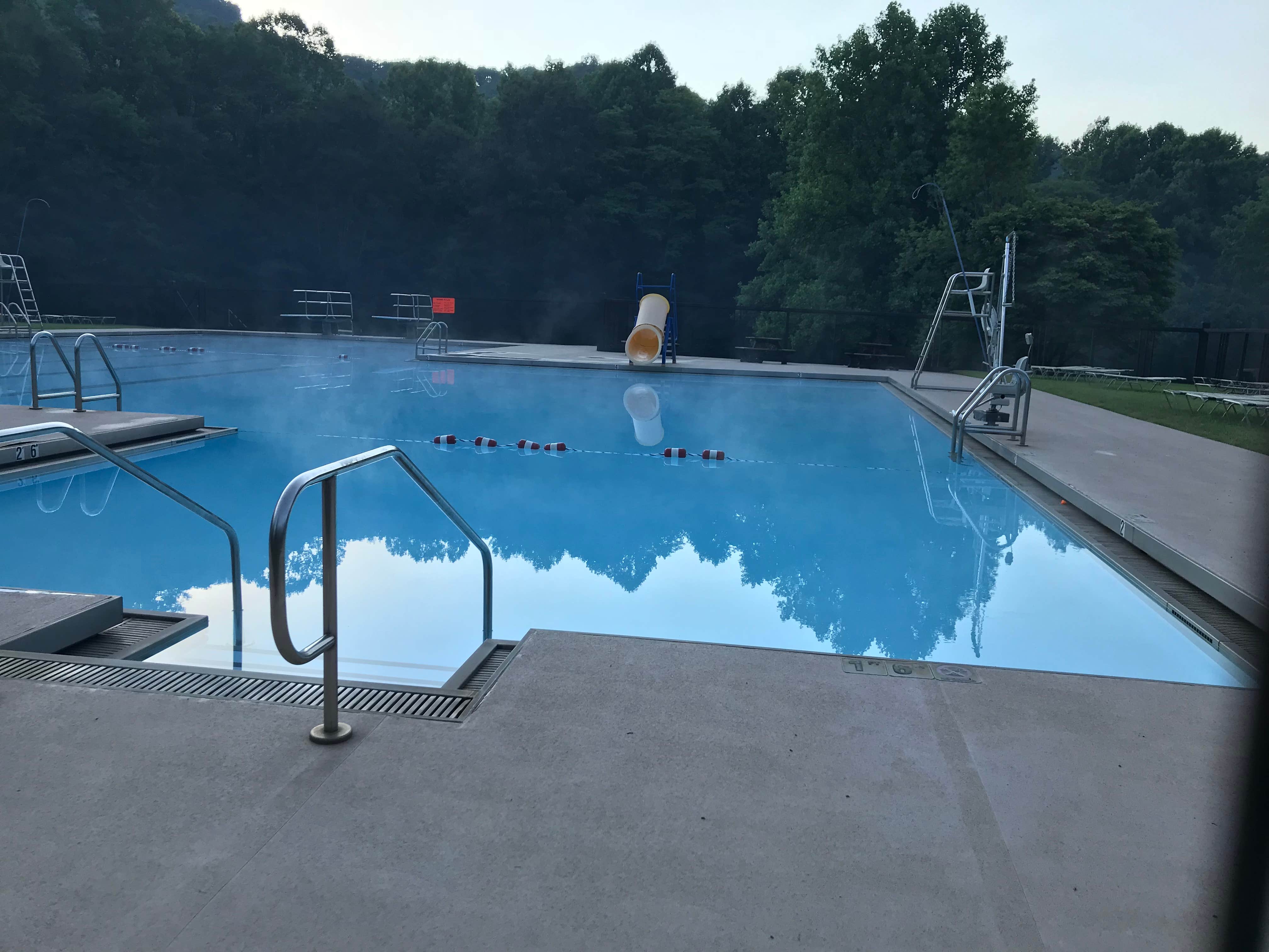 Camper submitted image from Roan Mountain State Park Campground - 3