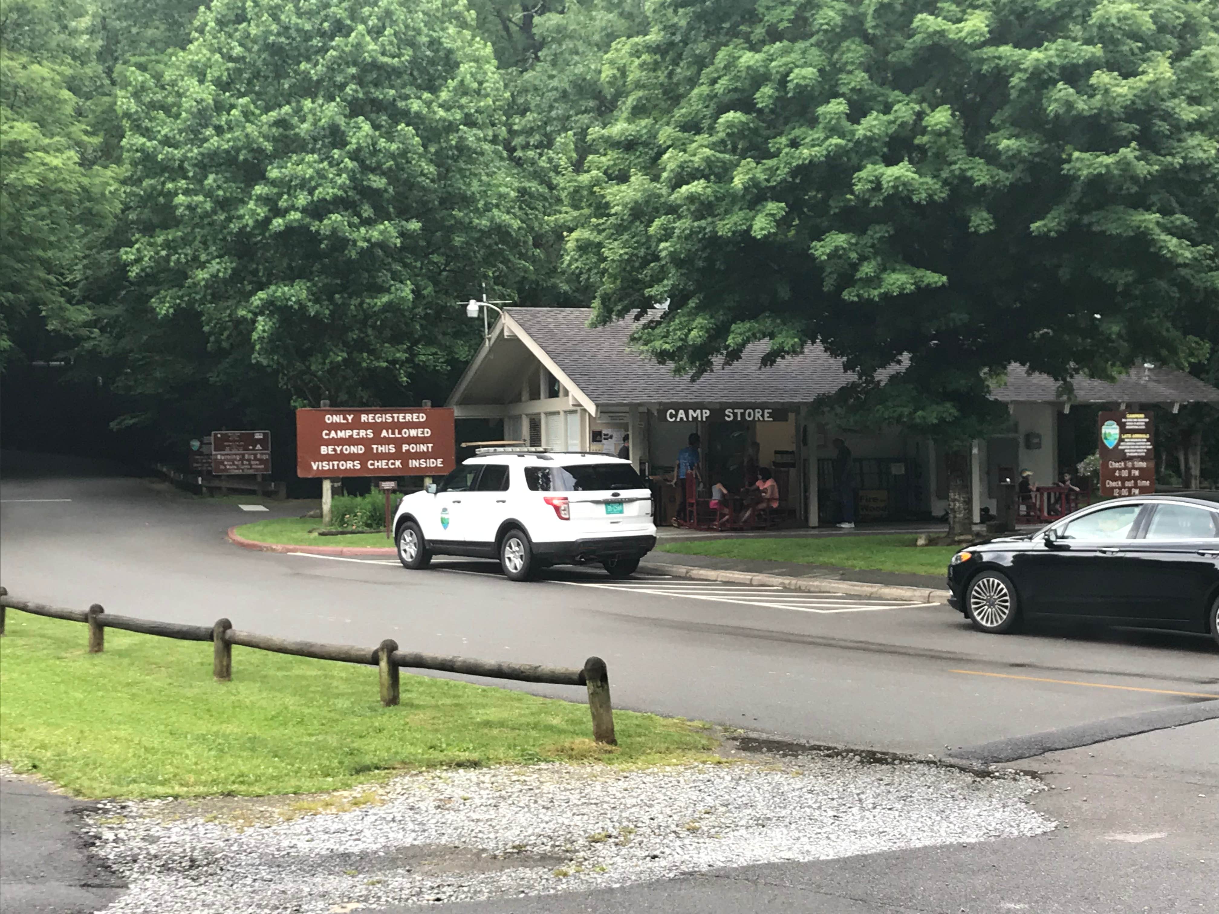 Camper-submitted photo at Roan Mountain State Park Campground near Ducktown, TN