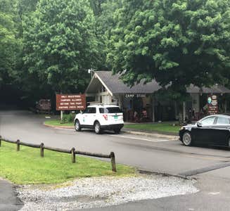 Camper-submitted photo from Montreat Family Campground