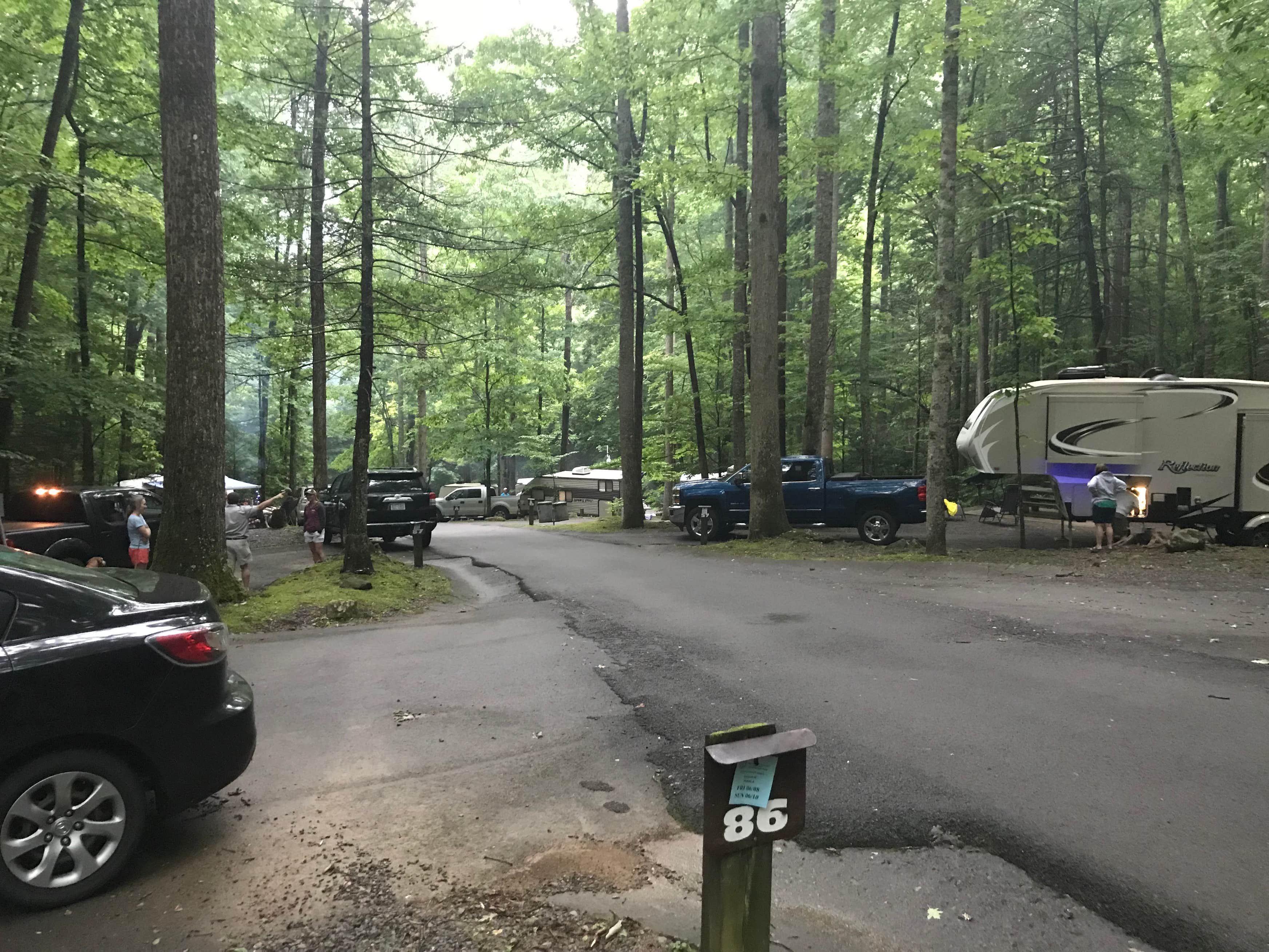 Roan Mountain The Dyrt