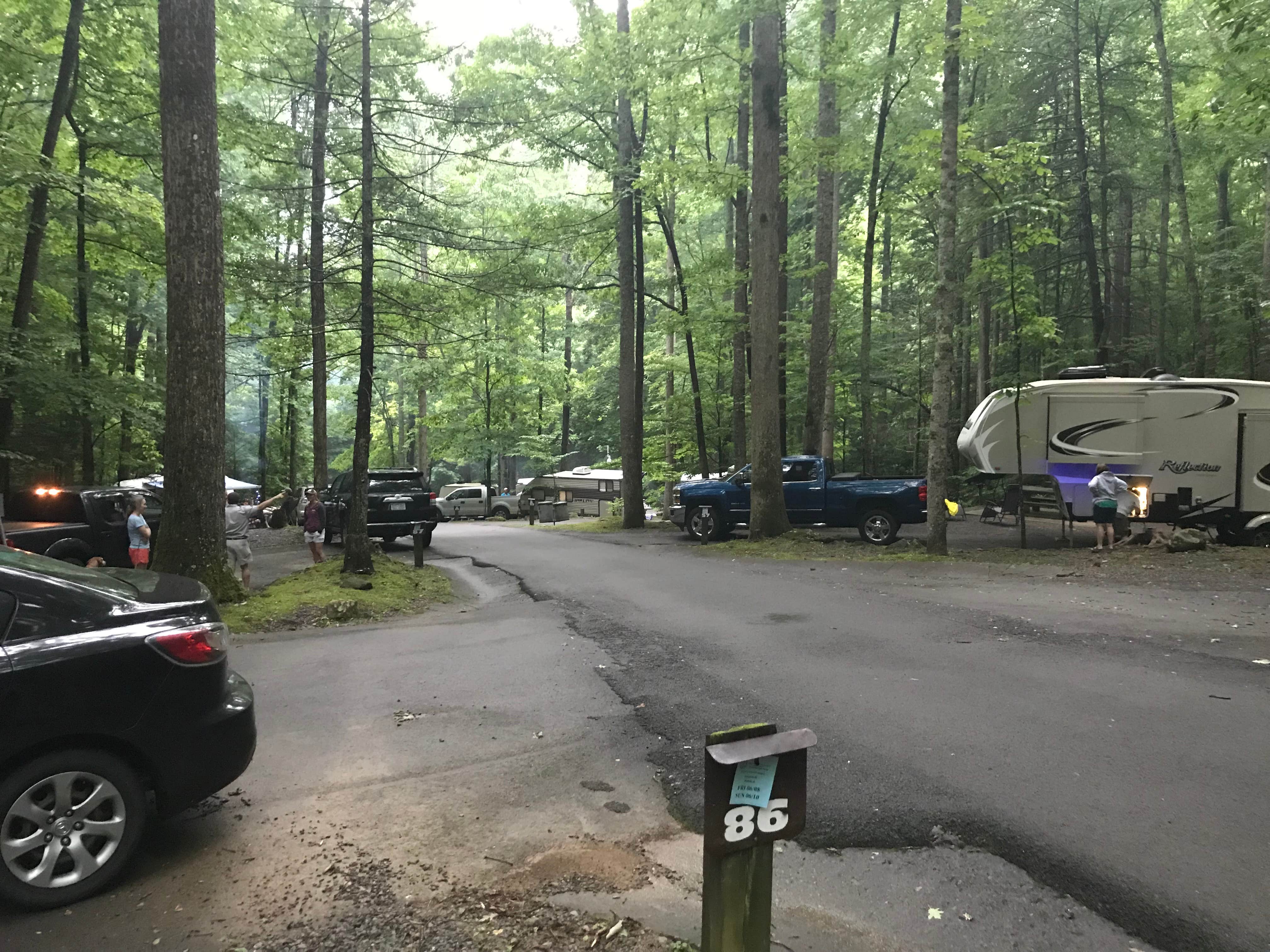 Roan Mountain The Dyrt