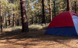 Jessica P.'s photo at Dispersed Camping near Johnsondale, CA