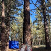 Review photo of Dispersed Camping by Jessica P., June 20, 2021