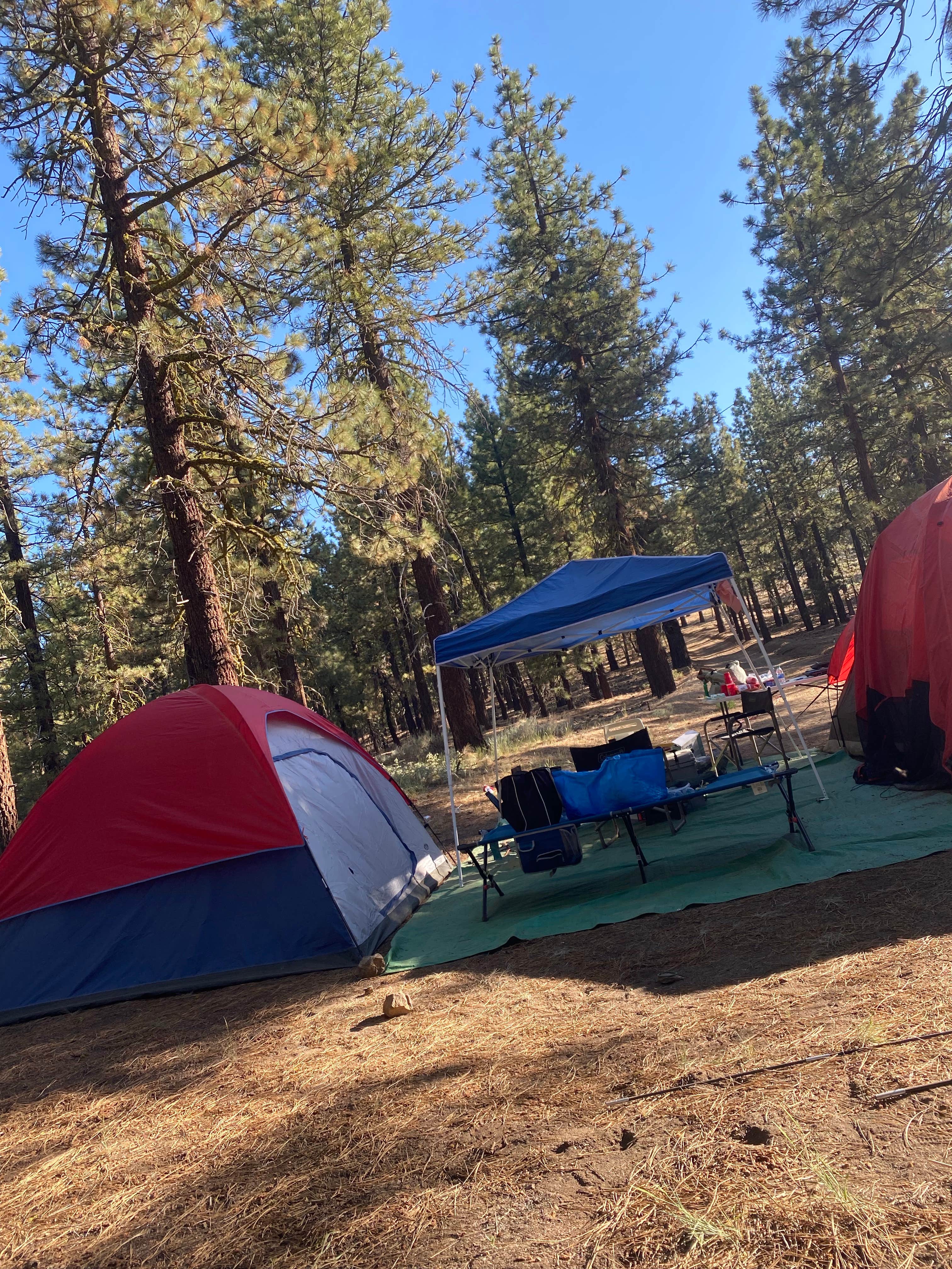 Camper submitted image from Dispersed Camping - 5