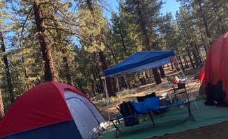 Jessica P.'s photo at Dispersed Camping near Sequoia National Forest