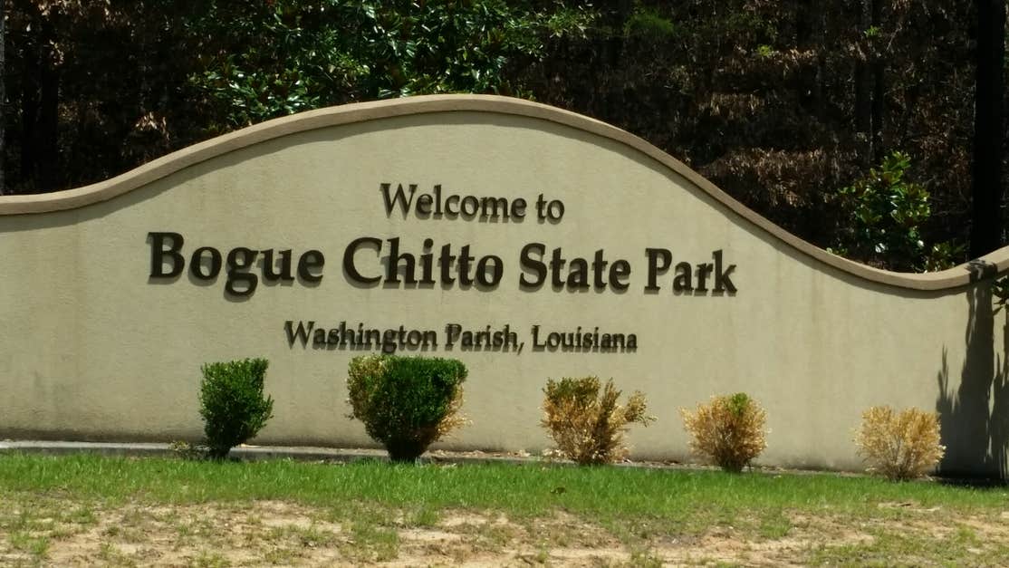 Bogue Chitto The Dyrt