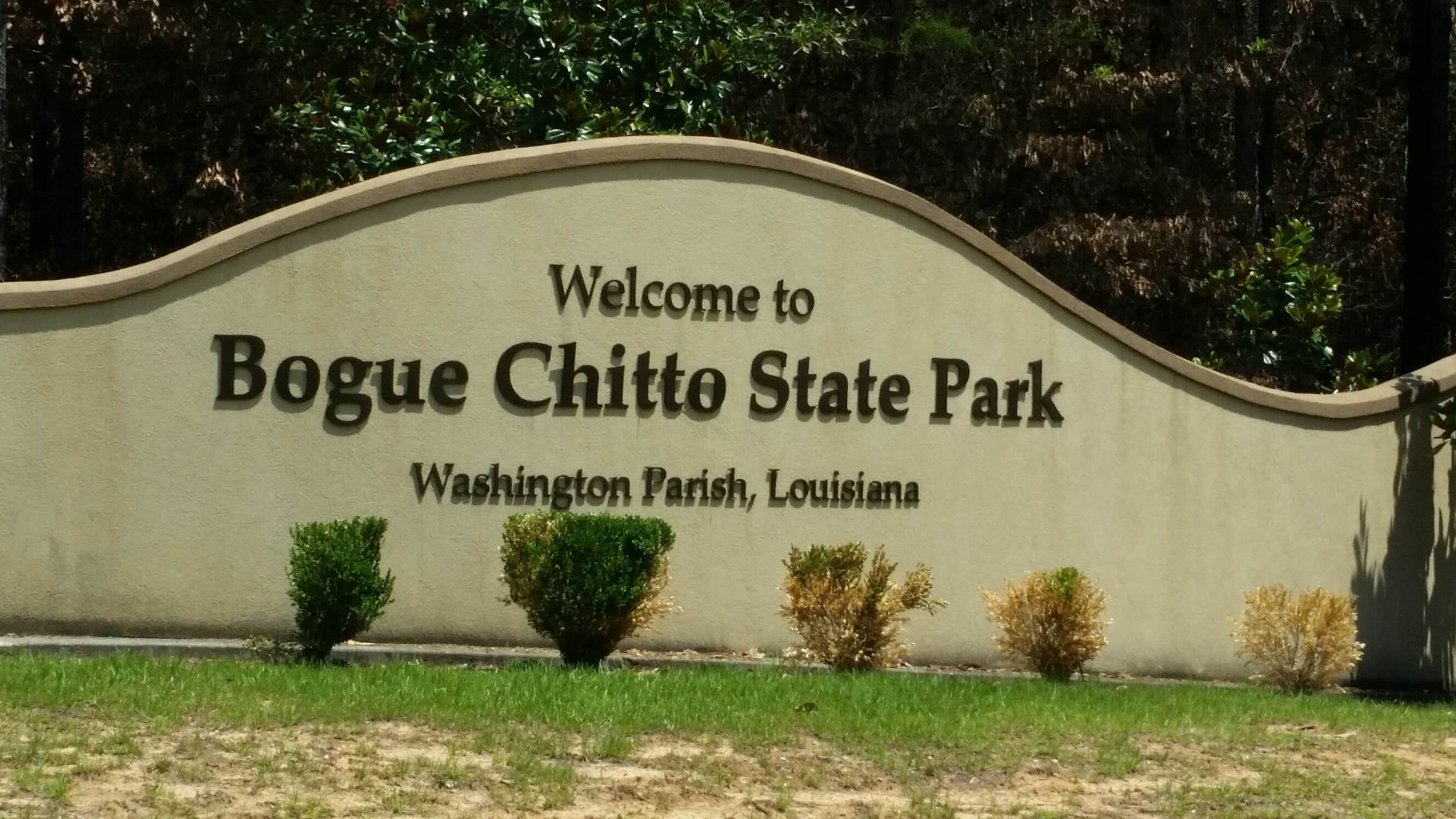 Camper submitted image from Bogue Chitto Water Park - 2