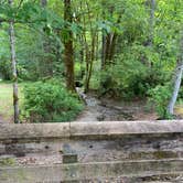 Review photo of Twanoh State Park Campground by Cindy B., June 20, 2021