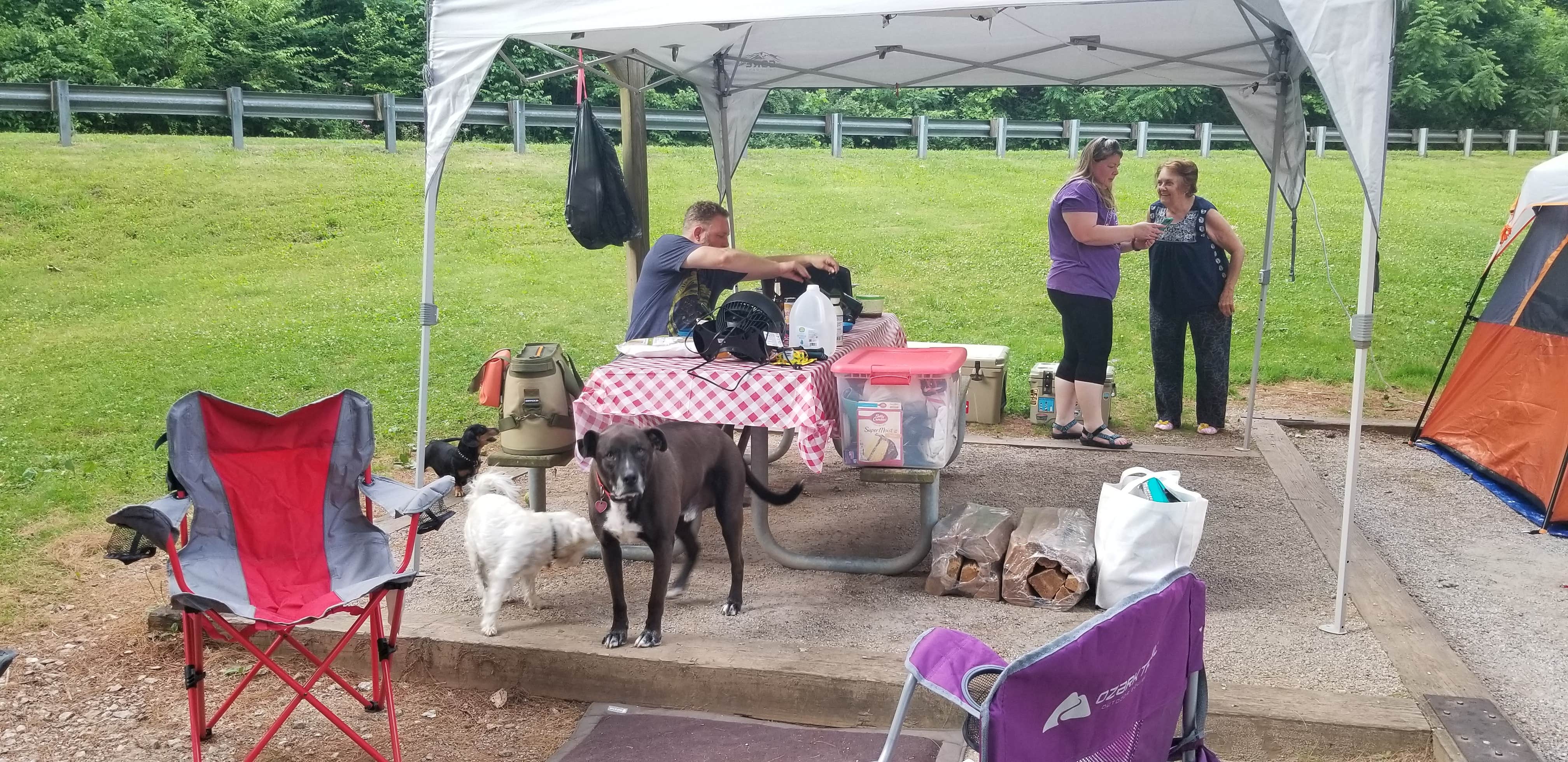Katrin M.'s photo of camping with pets at Moccasin Creek State Park Campground near Helen, GA