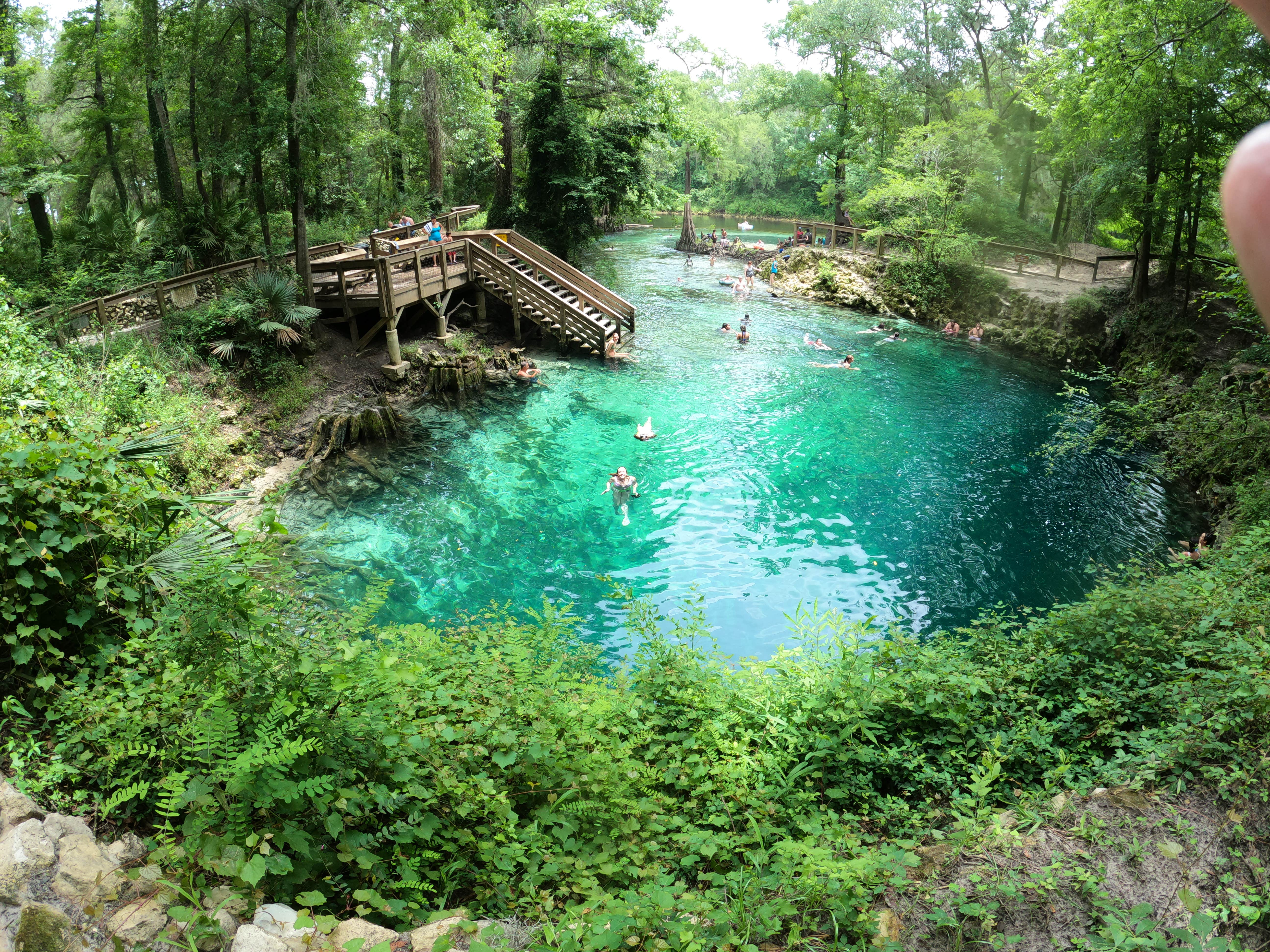 View All