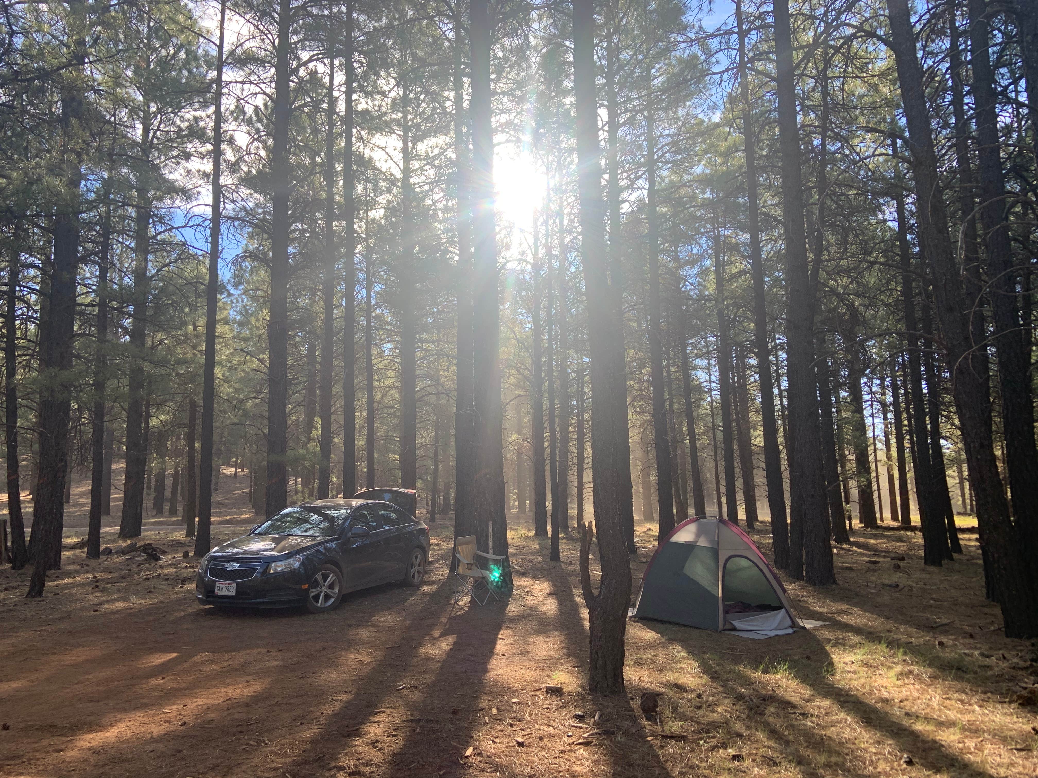 Lee W.'s photo of tent camping at FR 222 Dispersed near Jerome, AZ