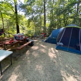 Review photo of Spacious Skies Bear Den by Ashley M., June 20, 2021