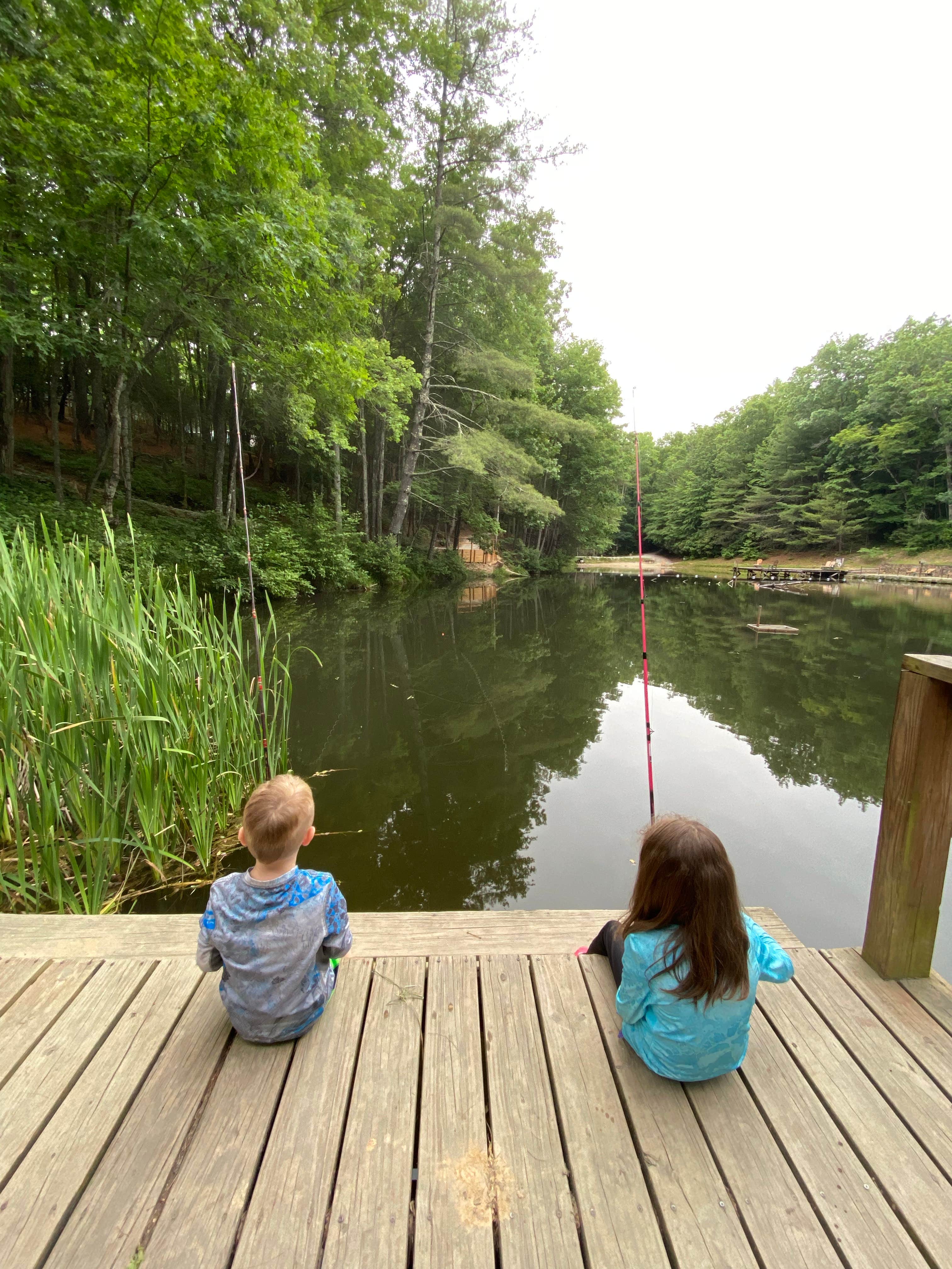 Bear Den Mountain Resort The Dyrt