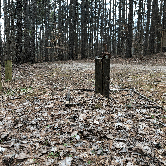 Review photo of Saddle Lake Campground — Hoosier National Forest by Violet , June 20, 2021