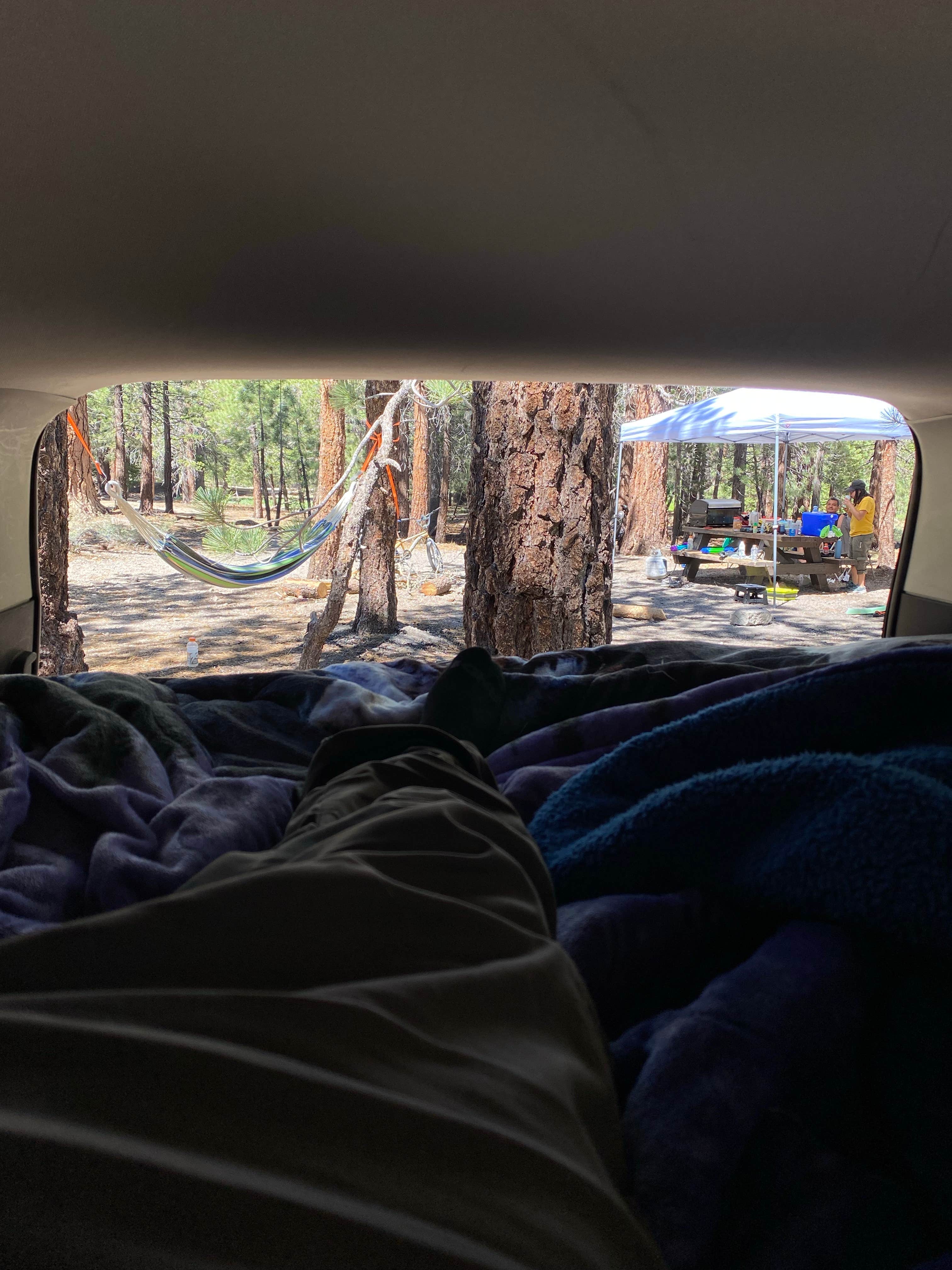 Camper-submitted photo at Upper Deadman Creek near Devils Postpile National Monument