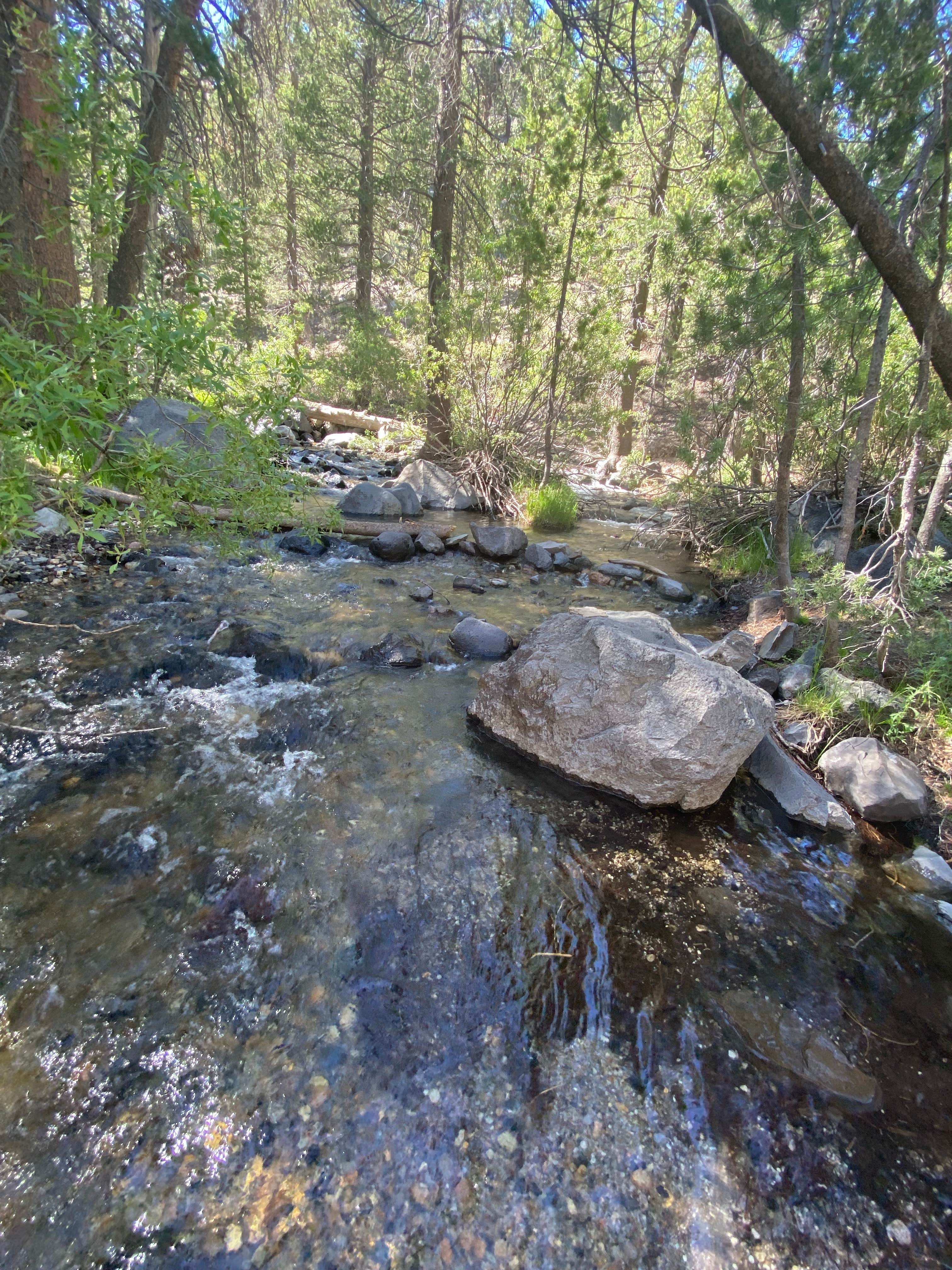 Review of Upper Deadman Creek The Dyrt