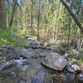 Review photo of Upper Deadman Creek by Sandra S., June 20, 2021