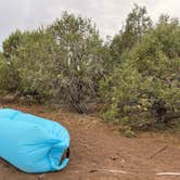 Review photo of Kaibab National Forest by Nik W., June 20, 2021