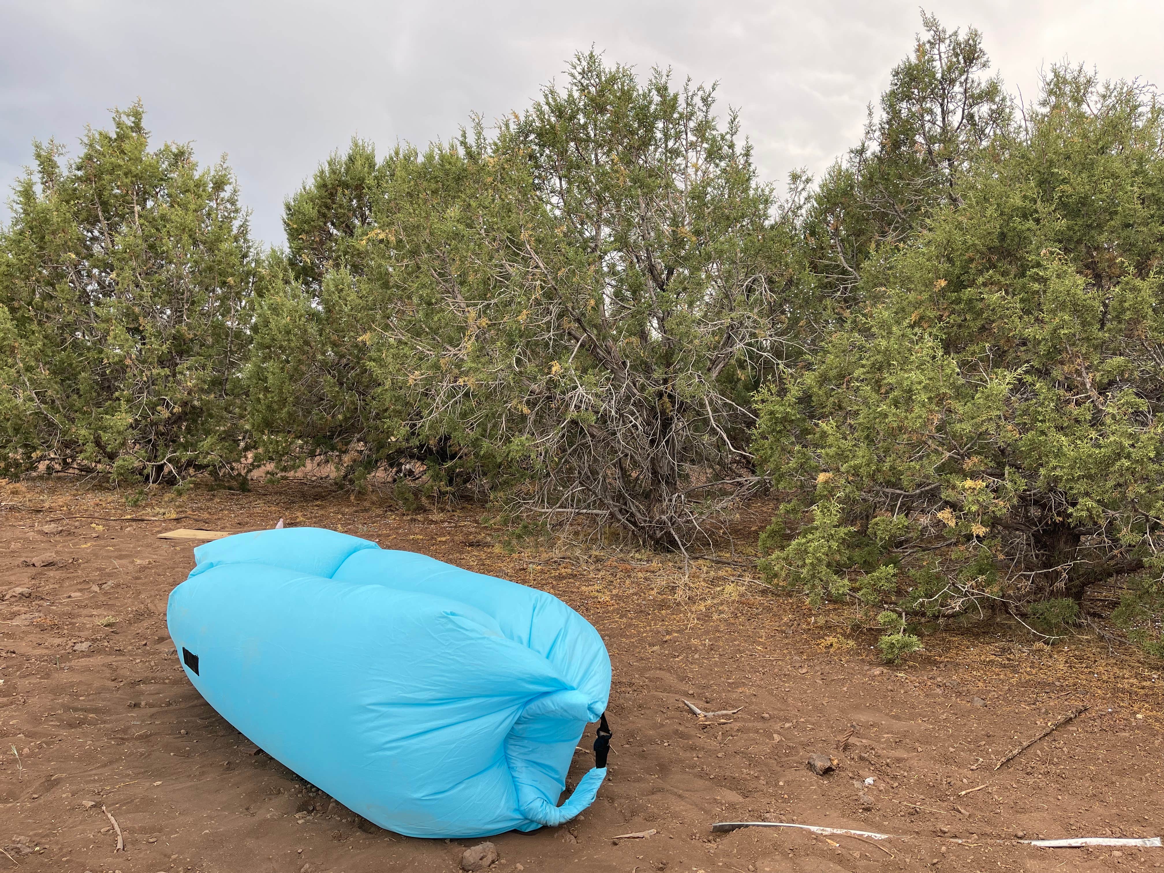 Camper submitted image from Kaibab National Forest - 5