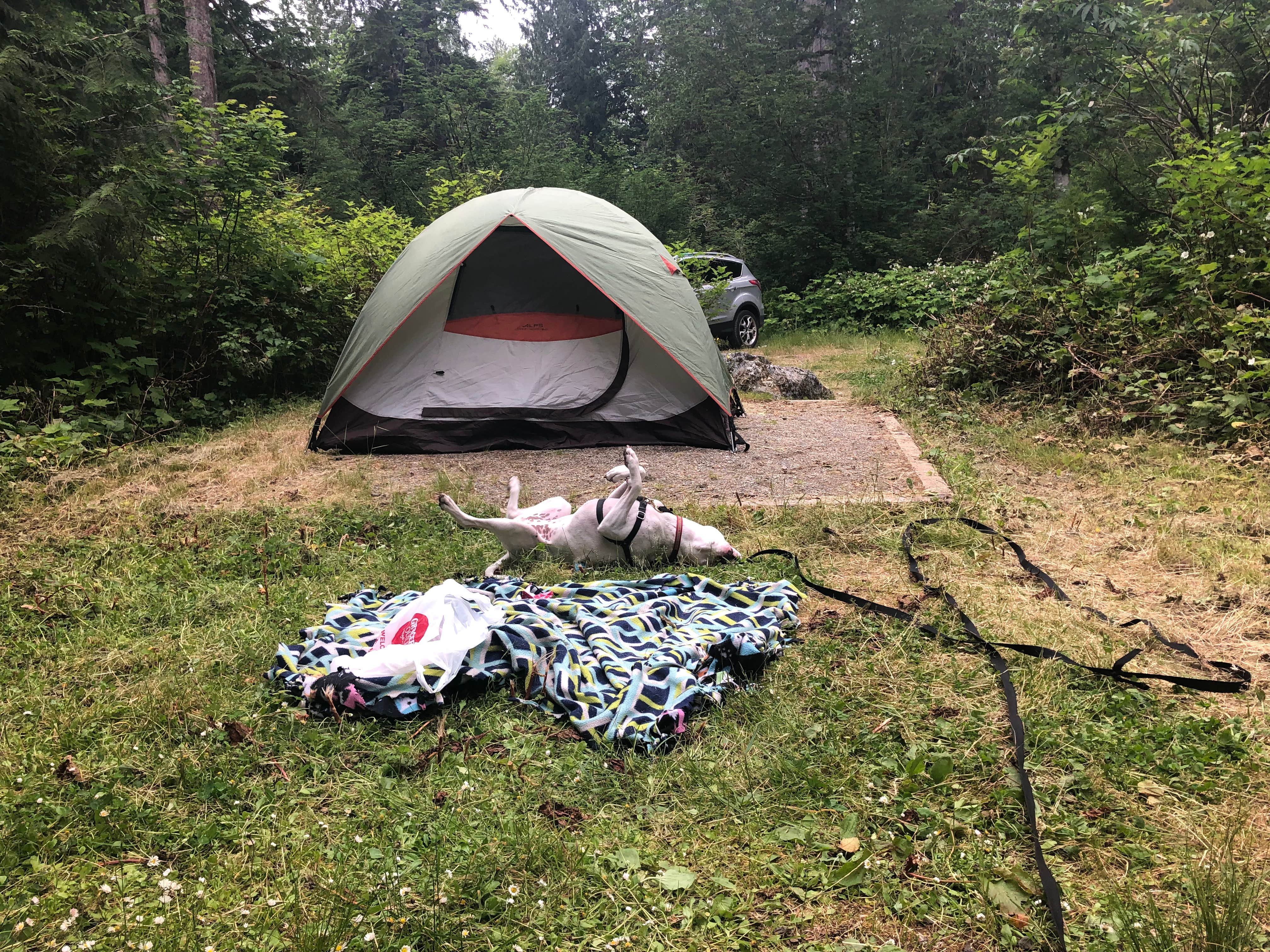 Olivia's photo at Bedal Campground near Mt. Baker-Snoqualmie National Forest