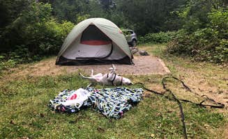 Olivia's photo at Bedal Campground near Darrington, WA