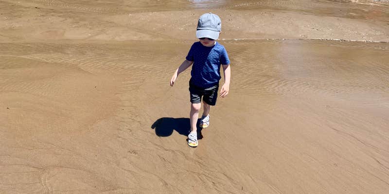 Camper submitted image from The Dunefield — Great Sand Dunes National Park