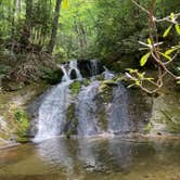 Review photo of Mortimer Campground — National Forests In North Carolina by Chad K., June 20, 2021