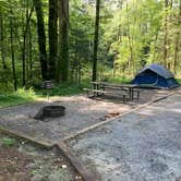 Review photo of Mortimer Campground — National Forests In North Carolina by Chad K., June 20, 2021