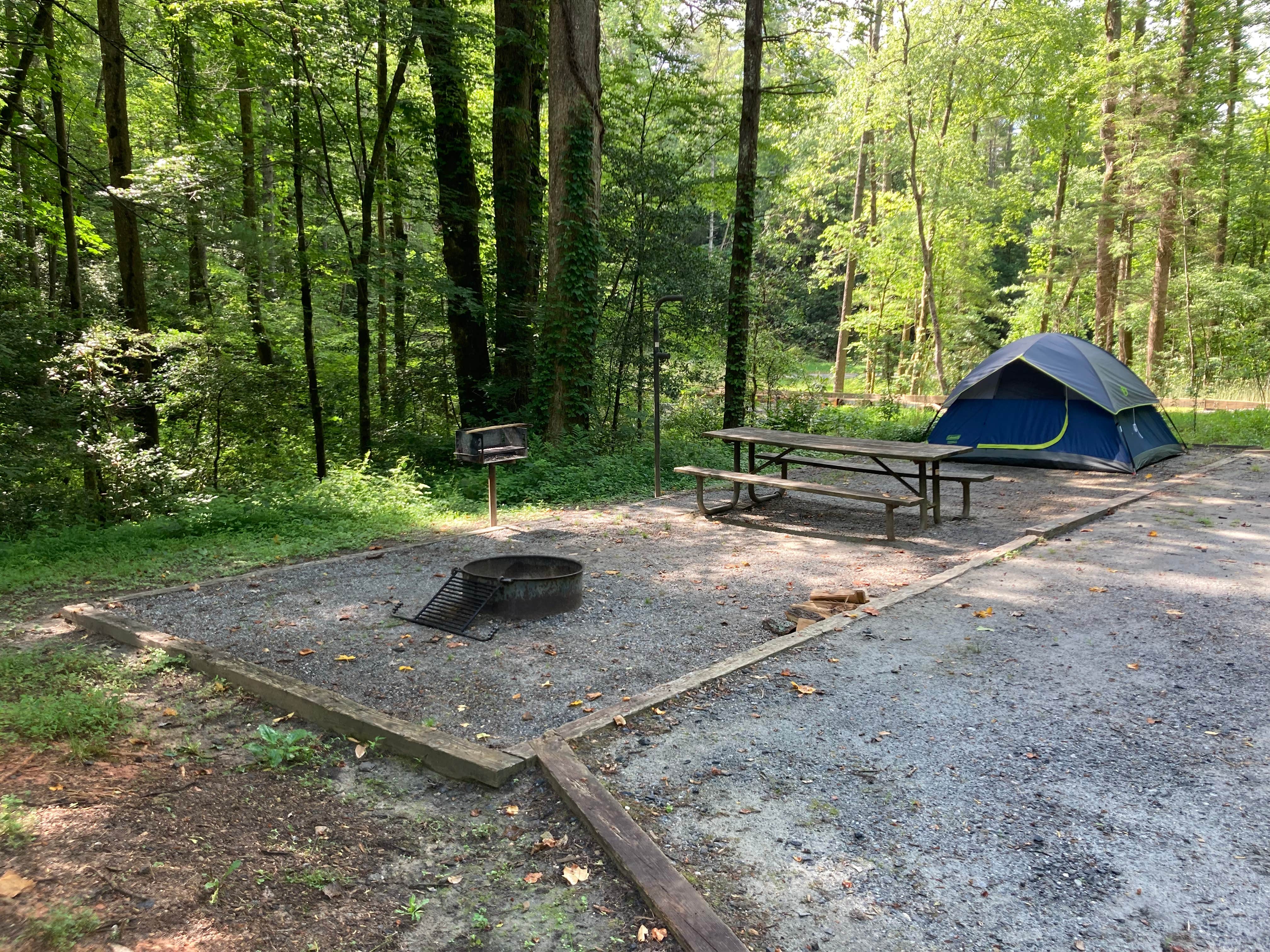 Camper submitted image from Mortimer Campground — National Forests In North Carolina - 2