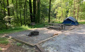 Chad K.'s photo at Mortimer Campground — National Forests In North Carolina near Blowing Rock, NC