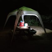 Review photo of Charge Pond Campground — Myles Standish State Forest by Katie D., June 11, 2018