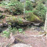 Review photo of Ammonoosuc Campground by Lucas , June 20, 2021