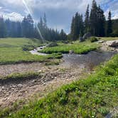 Review photo of Alta Lakes Campground (Dispersed) by Carmen M., June 20, 2021