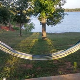 Review photo of Critter Alley — Lake Thunderbird State Park by Tracy C., June 11, 2018