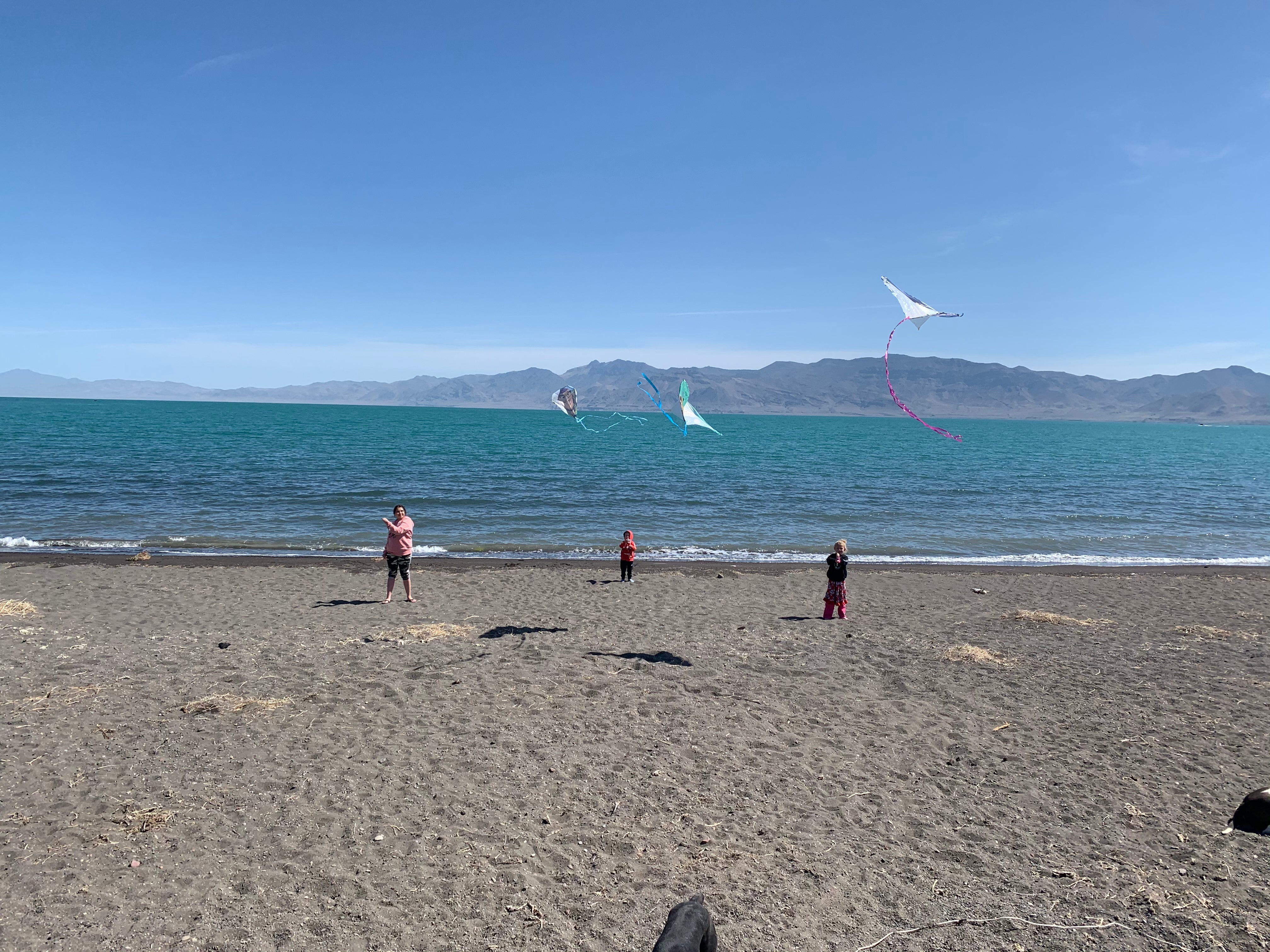 Camper submitted image from Pyramid Lake Marina and RV Park - 4