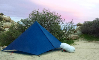 Camping near Borrego Palm Canyon Campground — Anza-Borrego Desert State Park: Culp Valley Primitive Campground — Anza-Borrego Desert State Park, Ranchita, California