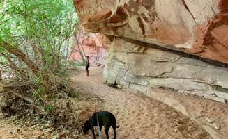 Ray & Terri F.'s photo of camping with pets at Haycock Ranch Road BLM near Glen Canyon National Recreation Area