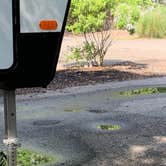 Review photo of Sun Retreats Seashore Campsites & RV Resort by Stephanie H., June 21, 2021