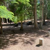 Review photo of South Skookum Lake Campground by Marcus K., June 21, 2021