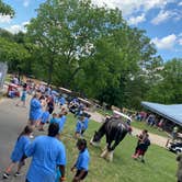 Review photo of Yogi Bear's Jellystone Park at Mammoth Cave by Whitley S., June 21, 2021