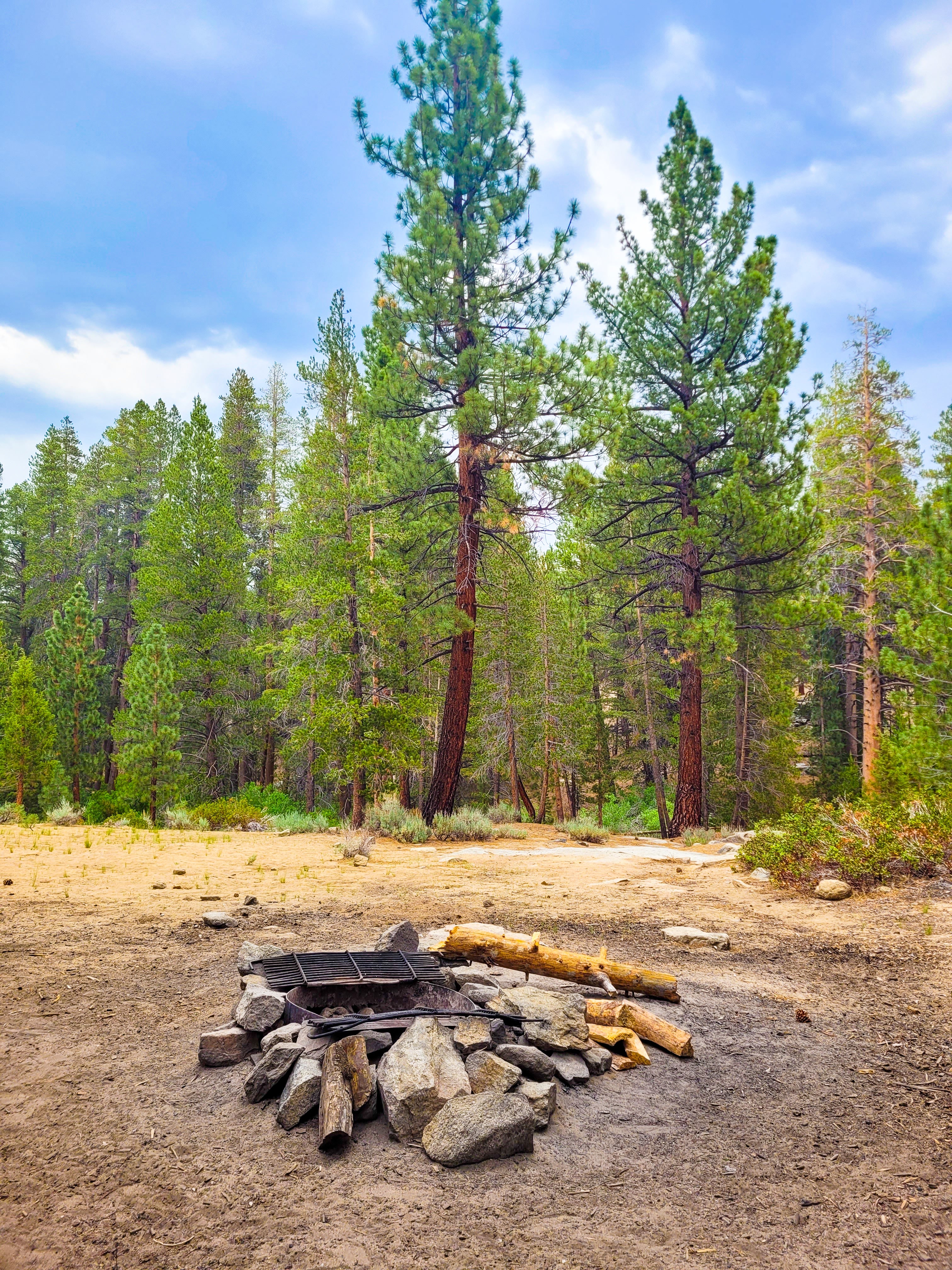 Camper submitted image from Sequoia National Forest Fish Creek Campground - 4