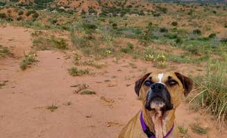 Holly R.'s photo of camping with pets at Wild Horse Equestrian Area — Caprock Canyons State Park near Plainview, TX