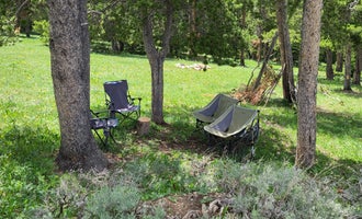 Camping near North Tongue: Gravel Pit Dispersed Camping, Dayton, Montana