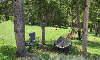 Camping near North Tongue: Gravel Pit Dispersed Camping, Dayton, Montana