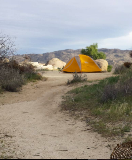 Camper submitted image from Culp Valley Primitive Campground — Anza-Borrego Desert State Park - 5